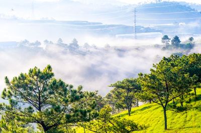 Du Lịch Nha Trang - Đà Lạt giá tốt 2015 khởi hành từ tp. Hồ Chí Minh
